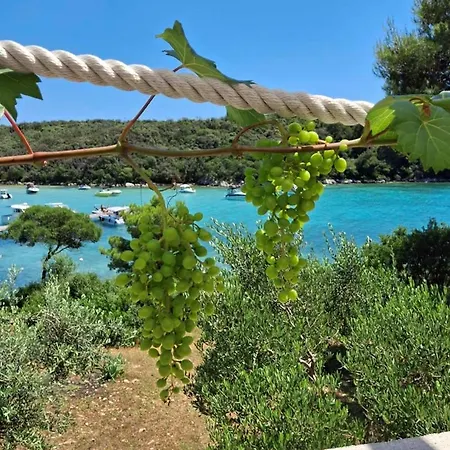Maison d'hôtes Seafront Complex In Rab *